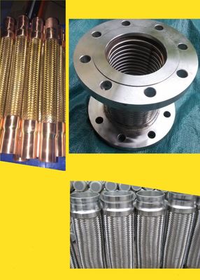 Tubos flexíveis de aço inoxidável / Tubos flexíveis de metal / Tubos de vidro triturados de fio duplo fornecedor